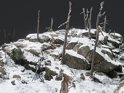 现代石头 雪地岩石 雪天地形景观