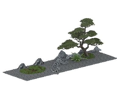 盆景 造型树