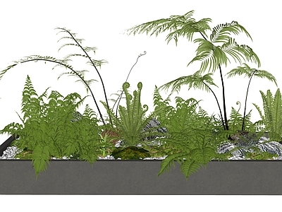 盆栽 盆栽 禅意盆景