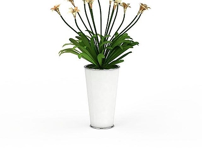 现代佛龛 植物盆栽