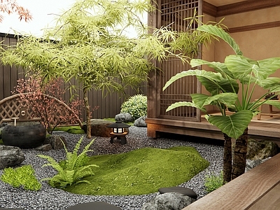 新中式庭院 乡村庭院 民宿庭院 别墅庭院 植物造景 羽毛枫