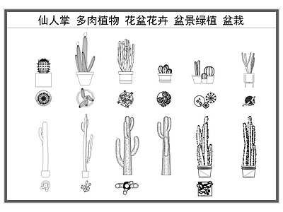 现代绿植 仙人掌 多肉植物 花盆花卉 盆景绿植 盆栽 施工图