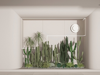植物组合 树池植物组合 橱窗 仙人掌 植物堆 绿植堆