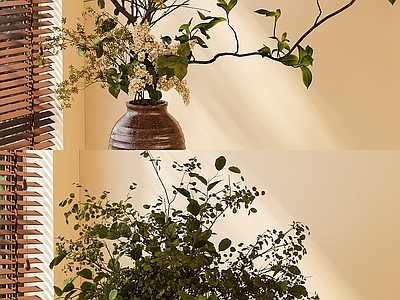 现代花艺 现代植物花艺 陶瓷花瓶