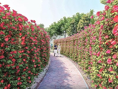 现代景观公园 鲜花院 城市公园 主题公园 花卉公园