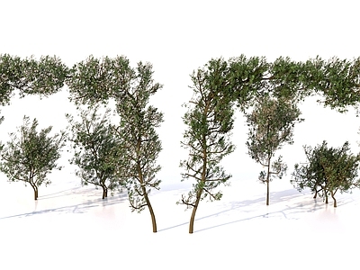 藤蔓 花园绿植拱门景观