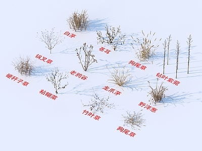 花草组合 灌木花草 植物类