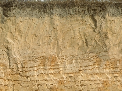 现代其它地面 土壁 挖开土壤 土壤层 土层 黄土