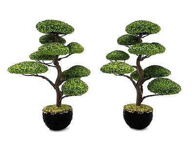 现代风格植物花盆