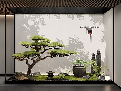 新中式禅意室内景观 天井室内景观 庭院小品 景观造景 松树 荷花缸
