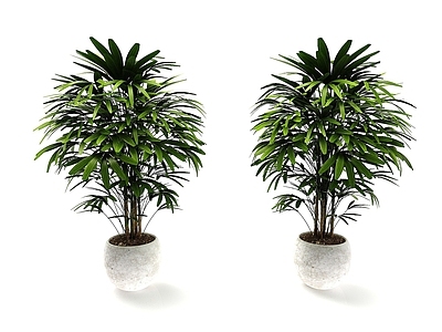 现代风格植物花盆