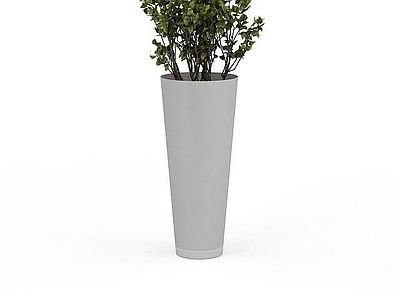 现代佛龛 室内绿色植物