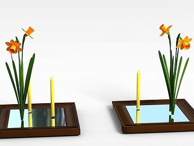 现代佛龛 室内花草