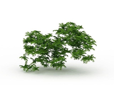 现代办公桌 景观树