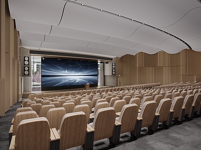 现代原木报告厅 现代阶梯报告厅 现代原木报告厅 阶梯报告厅 报告厅音响 报告厅异形吊顶