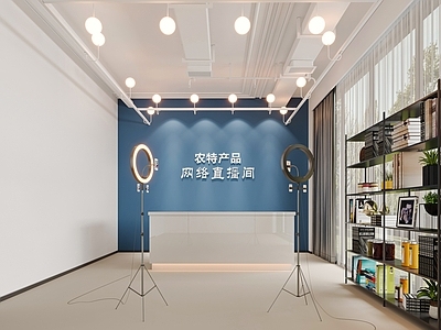 现代简约直播间 现代助农直播间 直播间 产品直播间 电商直播间