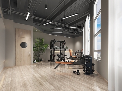 现代健身房 瑜伽馆塑形区 健身器材 健身房