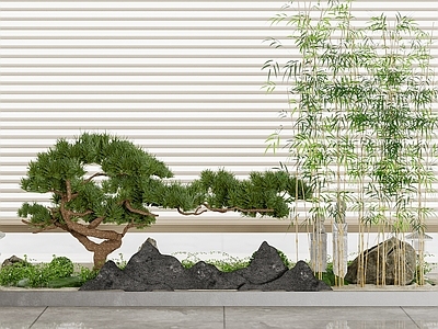 现代新中式室内景观 现代景观 绿植 迎客松 现代禅意内景