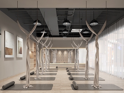 现代侘寂瑜伽室 瑜伽教室 空中瑜伽 挂画 瑜伽垫