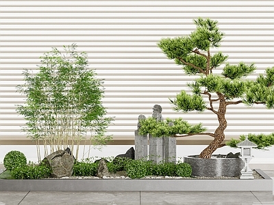 现代新中式室内景观 现代景观 禅意景观 绿植 迎客松