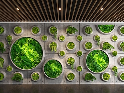 绿植墙 现代植物墙 植物造景 苔藓 景观墙