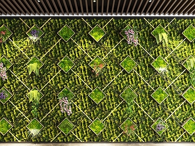 绿植墙 现代植物墙 植物造景 苔藓 景观墙
