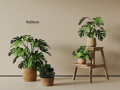 盆栽 盆栽植物架
