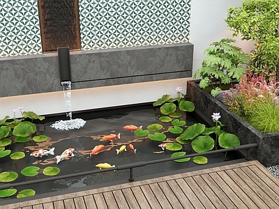 现代水景 鱼池 流水景墙 荷花池 水生植物 灌木
