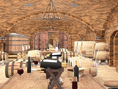 欧式烟酒店 现代酒窖