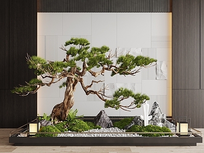 现代室内景观 现代室内景观造景 苔藓景观 景观小品 迎客松 松树