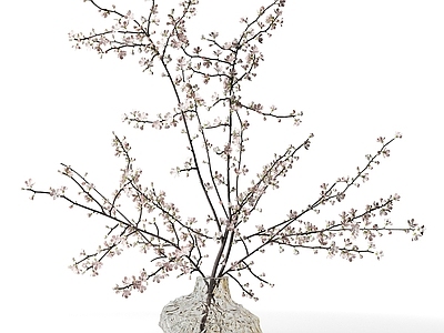 新中式禅意花艺 花瓶 花艺 花枝