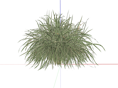 花草 草本植物 花叶芒 芒