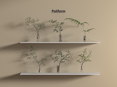 水生植物