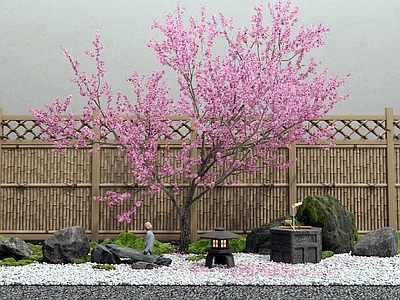 乔木 桃花树 樱花 景观石头 汀步 竹篱笆