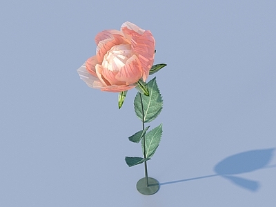 花 花 卡通花 野花