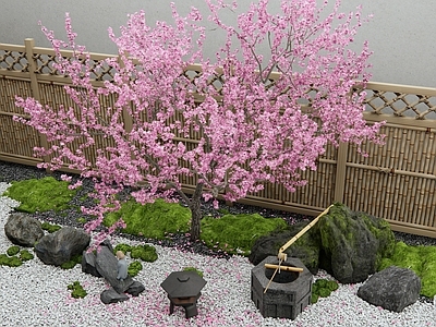 日式禅意庭院小品 枯山水景观 桃花树 樱花 汀步 景观石头