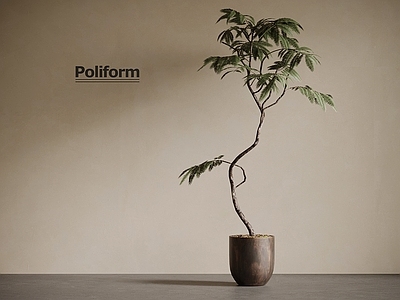 盆栽 中古风绿植 盆栽植物