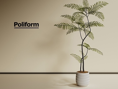 盆栽 现代绿植盆栽