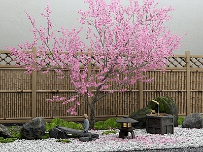 日式石头 水钵 桃花树 樱花树 庭院小品 枯山水景观