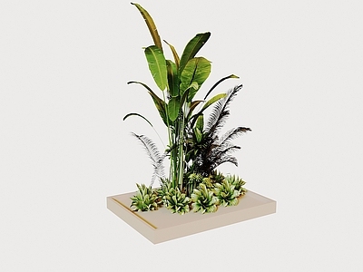 其他绿植 绿植堆