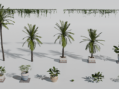 植物组合 盆栽组合 树池植物组合 绿植墙 棕榈树 盆栽