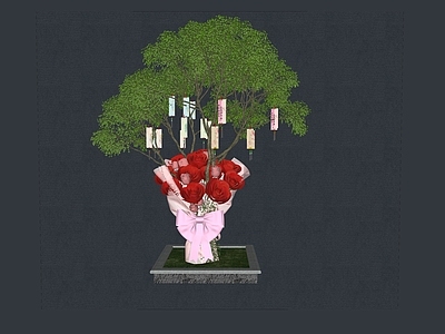盆栽 发财树 祈福树 许愿树