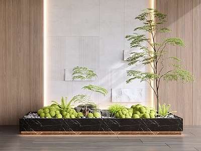 苔藓 室内植物景观 花箱 玄关造景 植物堆 花草