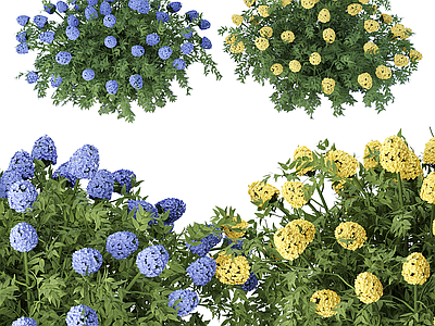 灌木 灌木 花丛