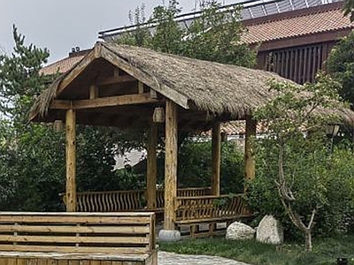 新中式中式廊架 茅草廊 景观茅草廊 茅草廊亭 茅草亭 乡村茅草廊 施工图