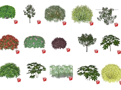 灌木 灌木球 盆栽灌木 花箱灌木 乔木 绿植树木