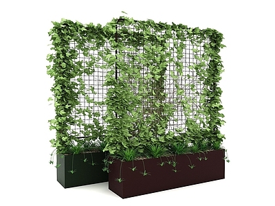 现代风格藤蔓植物