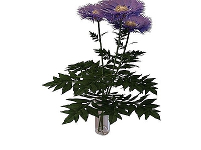 现代花瓶