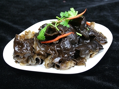 现代其他纸书本 美食海报家常菜