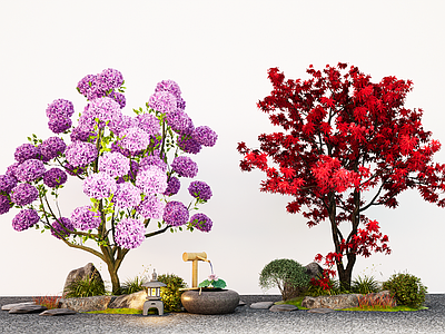 植物组合 景观乔木 紫花风铃木 绣球花 枫树